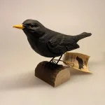 Naturens fugle af træ - Solsort, black bird, sommer, danske fugle, havens fugle, fugle i haven, gave, gaveide, naturelskere, ornitolog, fritids ornitoglog, fugle, træfugl, svenske fugle, Wildlife Garden, træfugl, fugle af træ, naturlig, naturtro, realistisk, håndlavet, træfigur, deko, dekoration, interiør, boligindretning, natur, biti, Ribe, sort sol, vadehavet,