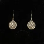 vikingesmykke vikingesmykker øreringe,ørestikkere ringkæder borrestil i sølv