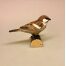 spurvefugl, danske fugle, fugle i farver, fuglefigur, model, træfugl, træfigur, wildlife garden, decobird, ornitolog, ornitologisk, samler, fugle, fugl, fugle entusiast, natur, den danske natur, fugleliv, gave, gaveide, jeg kigger på fugle, realistisk, naturlig, naturelsker, Biti, Ribe, Naturens fugle af træ – Gråspurv, WG