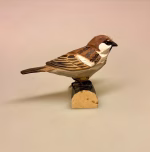 spurvefugl, danske fugle, fugle i farver, fuglefigur, model, træfugl, træfigur, wildlife garden, decobird, ornitolog, ornitologisk, samler, fugle, fugl, fugle entusiast, natur, den danske natur, fugleliv, gave, gaveide, jeg kigger på fugle, realistisk, naturlig, naturelsker, Biti, Ribe, Naturens fugle af træ – Gråspurv, WG