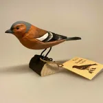 Naturens fugle af træ - Bogfinke,finke,Naturens fugle af træ, spurv, ornitolog, ornitologisk, fugle, kigger på fugle, fuglekiggert, fugleinteresseret, naturen, fri, fritid, outdoor, naturelsker, naturinteresseret, Biti, Sort sol, Ribe, Nationalpark Vadehavet,