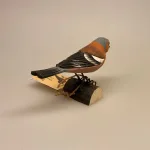 Naturens fugle af træ - Bogfinke,finke,Naturens fugle af træ, spurv, ornitolog, ornitologisk, fugle, kigger på fugle, fuglekiggert, fugleinteresseret, naturen, fri, fritid, outdoor, naturelsker, naturinteresseret, Biti, Sort sol, Ribe, Nationalpark Vadehavet,