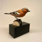 Naturens fugle af træ - Bogfinke,finke,Naturens fugle af træ, spurv, ornitolog, ornitologisk, fugle, kigger på fugle, fuglekiggert, fugleinteresseret, naturen, fri, fritid, outdoor, naturelsker, naturinteresseret, Biti, Sort sol, Ribe, Nationalpark Vadehavet,