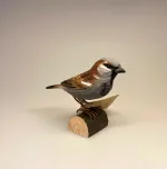 House sparrow, spurvefugl, danske fugle, fugle i farver, fuglefigur, model, træfugl, træfigur, wildlife garden, decobird, ornitolog, ornitologisk, samler, fugle, fugl, fugle entusiast, natur, den danske natur, fugleliv, gave, gaveide, jeg kigger på fugle, realistisk, naturlig, naturelsker, Biti, Ribe,Naturens fugle af træ - Gråspurv