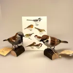 House sparrow, spurvefugl, danske fugle, fugle i farver, fuglefigur, model, træfugl, træfigur, wildlife garden, decobird, ornitolog, ornitologisk, samler, fugle, fugl, fugle entusiast, natur, den danske natur, fugleliv, gave, gaveide, jeg kigger på fugle, realistisk, naturlig, naturelsker, Biti, Ribe,Naturens fugle af træ - Gråspurv