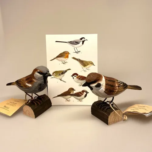 House sparrow, spurvefugl, danske fugle, fugle i farver, fuglefigur, model, træfugl, træfigur, wildlife garden, decobird, ornitolog, ornitologisk, samler, fugle, fugl, fugle entusiast, natur, den danske natur, fugleliv, gave, gaveide, jeg kigger på fugle, realistisk, naturlig, naturelsker, Biti, Ribe,Naturens fugle af træ - Gråspurv