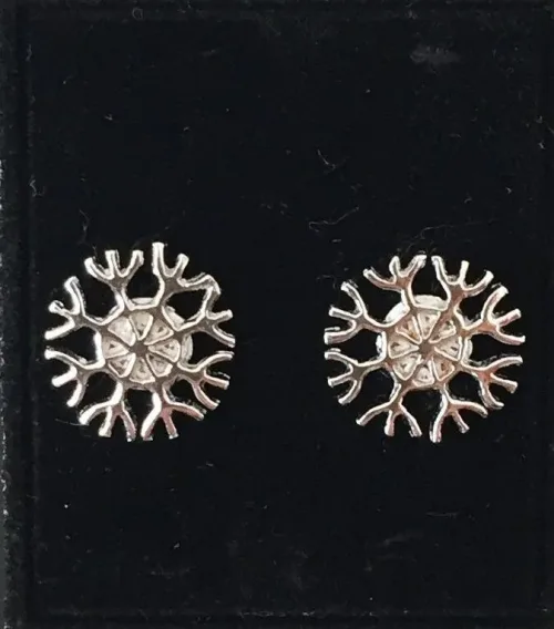 Vikingeøreringe Sølv Ørestikkere - Drømme Amulet, Vikingeøreringe Sølv Ørestikkere - amulet, beskytter. beskyttelse, skytsengel, amulet, passer på, hjælper, vikingesmykker, vikingeøreringe, museumssmykker, museums smykker, kopi, oldnordisk, vikinge, vikinger fund, ægte sølv, sterling sølv, nikkelfri, flotte spændende, interessante, historiske, kopi smykker, biti, ribe, nordisk, mytologi, asatro, symboler, symbolik, historiske smykker, vikingetiden,Vikingeøreringe Sølv Ørestikkere - Drømme Amulet, Vikingeøreringe Sølv Ørestikkere - amulet, beskytter. beskyttelse, skytsengel, amulet, passer på, hjælper, vikingesmykker, vikingeøreringe, museumssmykker, museums smykker, kopi, oldnordisk, vikinge, vikinger fund, ægte sølv, sterling sølv, nikkelfri, flotte spændende, interessante, historiske, kopi smykker, biti, ribe, nordisk, mytologi, asatro, symboler, symbolik, historiske smykker, vikingetiden