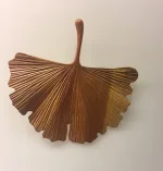 Gingkoblad - Håndskåret af Træ - Stort, træblad, gingko, bilopa, tempeltræ, vifteformede, håndsnittede, træskærerarbejde, stræskærer, nordisk, indretning, design, natur, stilfuldt, særligt, naturligt, pynt, bæredygtig, unst, indretning, træblad, gaveide, særlig, biti, ribe, håndlavet, kunsthåndværk