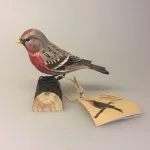 Naturens fugle af træ - Gråsisken, Naturens fugle - Wildlife garden - håndskåret af træ - Gråsisken, fugl, træfugl, fugl af træ, håndsnittet, fugle i farver, danmarks fauna