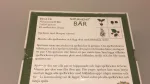 Bær Memo - Huskespil, vendespil, memory, spil, børnespil, naturens bær, natur, bær, plukke bær, blåbær, jordbær, tranebær, hyldebær, gaveidé, værtindegave, svensk, fint, dekoraivt, biti, ribe