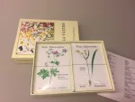 Kortspil - Vilde blomster, flora, danske flora, natur, ukrudt, vilde blomster, vilde planter, græsser, blomsterfamilier, vækster, svensk, sverige, småland, astrid lindgren, elsa beskow, nordisk, lærerigt, spil, kortspil, spil, sommerhus, hygge, familiespil, naturvejleding, naturvejleder, biologi, biodiversitet, økologi, bæredygtigt