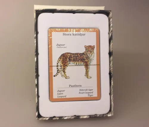Kortspil - Katte, kattespil, kattefamilier, huskat, familiespil, spilleaftner, kat, ting med katte, catlover, løve, tiger, alt om katte, store kattedyr, fauna, faunaspil, biologi, natur, gaveide, specielle, svensk, sverige, tegninger, illustrationer
