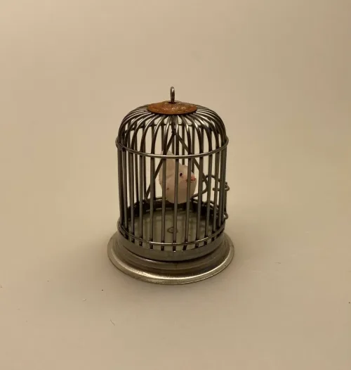 Miniature Fuglebur med fugl, Miniature Fuglebur med fugl, bur, kanariefugl, undulat, fuglebur, pipfugl, 1:12, dukkehus, dukkehusting, dukkehustilbehør, ting til, dukkehuset, miniaturer, miniature, sætterkasse, sættekasse, sangskjuler, symbolik, kæledyr, biti, ribe