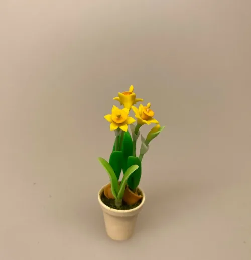 Miniature Potte med påskeliljer, blomster, blomst, narcisser, påskeliljer, pinseliljer, påske, påskeblomster, mini, urtepotte, lerpotte, blomsterpotte, dukkehus, dukkehusting, dukkehustilbehør, 1:12, skala, mini, miniature, miniatyre, miniaturer, sættekasse, sætterkasse, sangskjuler, symbolsk, gavekort, planteskole, haven, have entusiast, havemand, gartner, uddannet, biti, ribe, landskabsarkitekt,