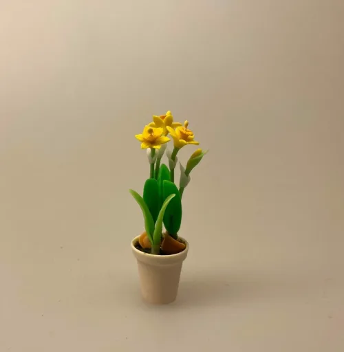 Miniature Potte med påskeliljer, blomster, blomst, narcisser, påskeliljer, pinseliljer, påske, påskeblomster, mini, urtepotte, lerpotte, blomsterpotte, dukkehus, dukkehusting, dukkehustilbehør, 1:12, skala, mini, miniature, miniatyre, miniaturer, sættekasse, sætterkasse, sangskjuler, symbolsk, gavekort, planteskole, haven, have entusiast, havemand, gartner, uddannet, biti, ribe, landskabsarkitekt,