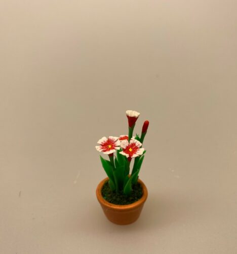 Miniature Potte røde Nelliker ,