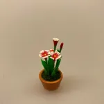 Miniature Potte røde Nelliker ,