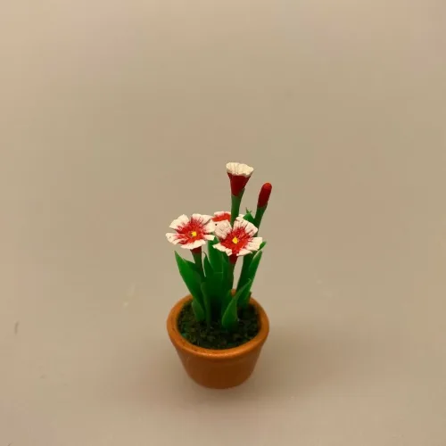 Miniature Potte røde Nelliker ,