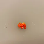 Miniature Krabbe, Miniature Fisk Madding, fisk, guldfisk, slørhale, akvarium, havedam, fisketur, lystfisker, fiskestang, gavekort, udstyr, strand, biti, ribe, miniaturer, dukkehus, dukkehusting, dukkehustilbehør, samler, skala, 1:12,