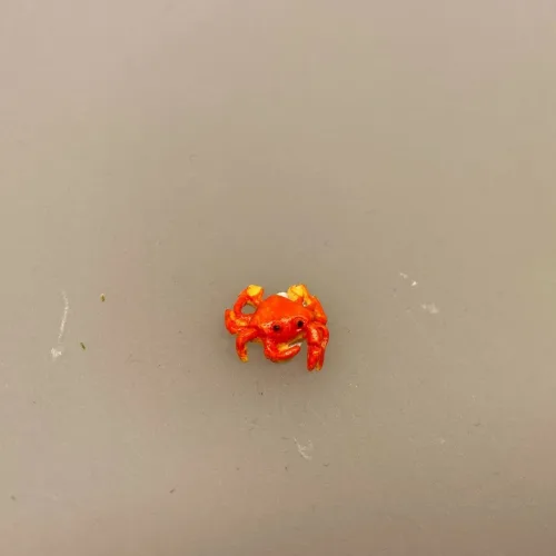 Miniature Krabbe, Miniature Fisk Madding, fisk, guldfisk, slørhale, akvarium, havedam, fisketur, lystfisker, fiskestang, gavekort, udstyr, strand, biti, ribe, miniaturer, dukkehus, dukkehusting, dukkehustilbehør, samler, skala, 1:12,