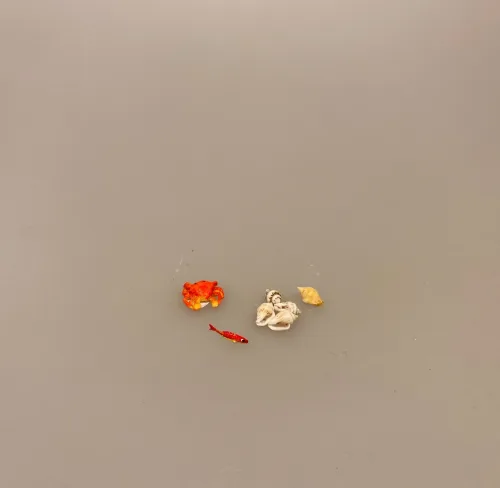 Miniature Krabbe, Miniature Fisk Madding, fisk, guldfisk, slørhale, akvarium, havedam, fisketur, lystfisker, fiskestang, gavekort, udstyr, strand, biti, ribe, miniaturer, dukkehus, dukkehusting, dukkehustilbehør, samler, skala, 1:12,