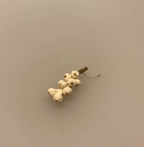 Miniature Hvidløgsranke, grøntsager, grønt, miniaturer, dukkehus, dukkehusting, dukkehustilbehør, dukkehusmad, dukkemad, sættekasse, sætterkasser, 1:12