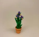 Miniature Potte med blå Iris, gartner, landskabsarkitekt, blå Iris, blomst,, påske, påskeblomster, mini, urtepotte, lerpotte, blomsterpotte, dukkehus, dukkehusting, dukkehustilbehør, 1:12, skala, mini, miniature, miniatyre, miniaturer, sættekasse, sætterkasse, sangskjuler, symbolsk, gavekort, planteskole, haven, have entusiast, havemand, gartner, uddannet, biti, ribe, landskabsarkitekt,