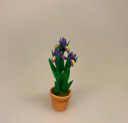 Miniature Potte med blå Iris, gartner, landskabsarkitekt, blå Iris, blomst,, påske, påskeblomster, mini, urtepotte, lerpotte, blomsterpotte, dukkehus, dukkehusting, dukkehustilbehør, 1:12, skala, mini, miniature, miniatyre, miniaturer, sættekasse, sætterkasse, sangskjuler, symbolsk, gavekort, planteskole, haven, have entusiast, havemand, gartner, uddannet, biti, ribe, landskabsarkitekt,