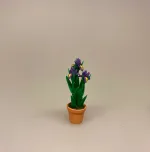 Miniature Potte med blå Iris, gartner, landskabsarkitekt, blå Iris, blomst,, påske, påskeblomster, mini, urtepotte, lerpotte, blomsterpotte, dukkehus, dukkehusting, dukkehustilbehør, 1:12, skala, mini, miniature, miniatyre, miniaturer, sættekasse, sætterkasse, sangskjuler, symbolsk, gavekort, planteskole, haven, have entusiast, havemand, gartner, uddannet, biti, ribe, landskabsarkitekt,