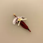 Miniature Parasol Vinrød med Blonde & Blomst,Miniature Hat Vinrød med Bånd & Blomster, damehat, hat, feminin, dukkehat, dukkebutik, trikotage, dukkehus, dukkehusting, dukkehus tilbehør, ting til dukkehuset, dukkestue,samler, mniaturer, biti, ribe,