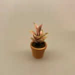 Miniature Potte Rosita , stueplante, potteplante, bladvækst, rosa blade, grønne planter, miniature, dukkehus, dukkehuset, til dukkehuset, tilbehør, ting til, dukkehustilbehør, dukkehusting, sætterkasseting, ting til sætterkassen, sættekasse, biti, ribe