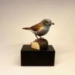 Jernspurv, dunnuck, WG427, wildlife garden, spurvefugl, danske fugle, fugle i farver, fuglefigur, model, træfugl, træfigur, wildlife garden, decobird, ornitolog, ornitologisk, samler, fugle, fugl, fugle entusiast, natur, den danske natur, fugleliv, gave, gaveide, jeg kigger på fugle, realistisk, naturlig, naturelsker, Biti, Ribe,Naturens fugle af træ - Gråspurv, Naturens fugle af træ - Jernspurv