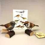 House sparrow, spurvefugl, danske fugle, fugle i farver, fuglefigur, model, træfugl, træfigur, wildlife garden, decobird, ornitolog, ornitologisk, samler, fugle, fugl, fugle entusiast, natur, den danske natur, fugleliv, gave, gaveide, jeg kigger på fugle, realistisk, naturlig, naturelsker, Biti, Ribe,Naturens fugle af træ - Gråspurv, Naturens fugle af træ - Skovspurv