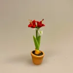 Miniature Potte med Røde Amaryllis, de fire hjørner, juleblomst, december, Miniature Potte med Røde Amaryllis, de fire hjørner, juleblomst, december,