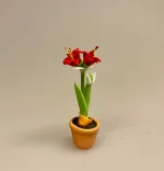 Miniature Potte med Røde Amaryllis, de fire hjørner, juleblomst, december, Miniature Potte med Røde Amaryllis, de fire hjørner, juleblomst, december,