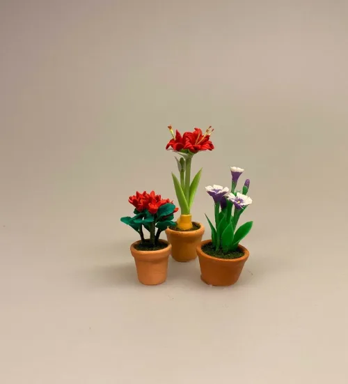 Miniature Potte med Røde blomster, cyklamen, juleblomst, blomst, urtepotte, Miniature Potte med Lyseblå blomster, Miniature Potte med Gule blomster, for glem mig ej, smørblomster, marguritter, margeritter, have, havearbejd, planteskole, miniaturer, dukkehus, ting til, dukkehus, dukketing, dukkehusting, nisser, nissetilbehør, nissedør, små, sættekasse, sætterkasse, sættekasseting, amagerhylde, små blomster, mini, biti, ribe,havearkitekt, landskabsarkitekt,Miniature Potte med Røde Amaryllis