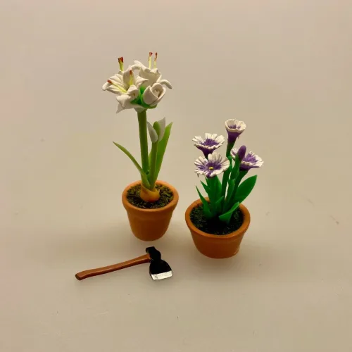 Miniature Potte med hvid Amaryllis, hvide blomster, hvid blomst, Miniature Potte med Røde Amaryllis, de fire hjørner, juleblomst, december, Miniature Potte med Røde Amaryllis, de fire hjørner, juleblomst, december,