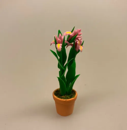 Miniature Potte med rosa Iris, Miniature Potte med orange Iris, blomst,, påske, påskeblomster, mini, urtepotte, lerpotte, blomsterpotte, dukkehus, dukkehusting, dukkehustilbehør, 1:12, skala, mini, miniature, miniatyre, miniaturer, sættekasse, sætterkasse, sangskjuler, symbolsk, gavekort, planteskole, haven, have entusiast, havemand, gartner, uddannet, biti, ribe, landskabsarkitekt,