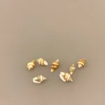 Miniature konkylier - 7 stk. sneglehuse, konkylier, sæt, mini, mikro, strandting, stranden, fisketur, biti, ribe, pynt, sneglehuse