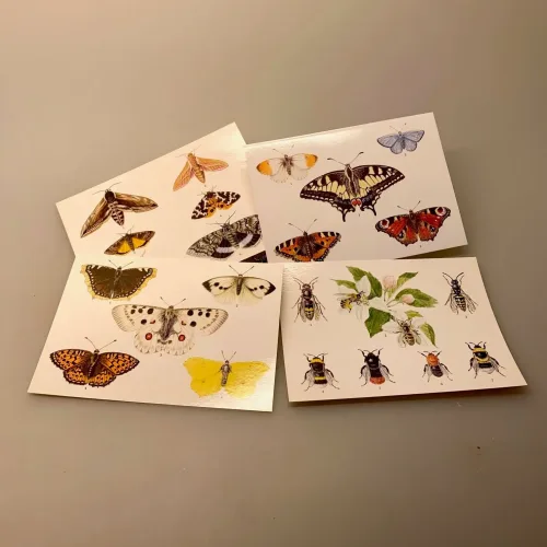 Postkort Pakke - Sommerfugle og Bier, Postkort pakke - Sommerfugle, sommerfugl, natsværmere, natsommerfugl, dagsommerfugle, naturen, insekter, vinger, flora, fauna, biti, ribe,