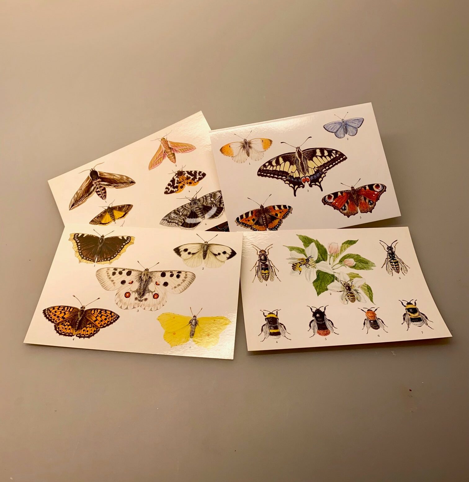Postkort Pakke - Sommerfugle og Bier, Postkort pakke - Sommerfugle, sommerfugl, natsværmere, natsommerfugl, dagsommerfugle, naturen, insekter, vinger, flora, fauna, biti, ribe,