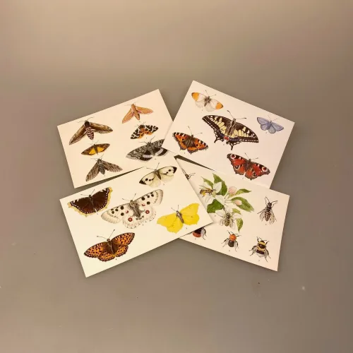 Postkort Pakke - Sommerfugle og Bier, Postkort pakke - Sommerfugle, sommerfugl, natsværmere, natsommerfugl, dagsommerfugle, naturen, insekter, vinger, flora, fauna, biti, ribe,