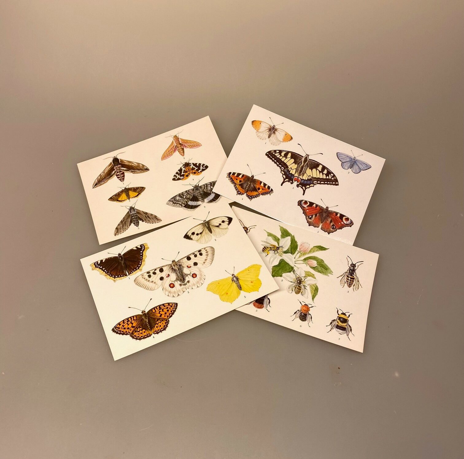 Postkort Pakke - Sommerfugle og Bier, Postkort pakke - Sommerfugle, sommerfugl, natsværmere, natsommerfugl, dagsommerfugle, naturen, insekter, vinger, flora, fauna, biti, ribe,