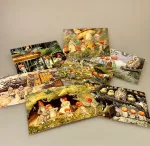 Postkort pakke - Elsa Beskow Tomtebo børnene, nostalgi, vintage, elsa beskow, småland, astrid lindgren, skoven, skovnisser, tomter, tomtebo, tomtebobarnen, tomtebobørnene, postkort, billeder, børneværelset, kort, elsa, besekow, besekov, biti, ribe, til børn, papirvarer, til og fra, gave, barnedåb, biti