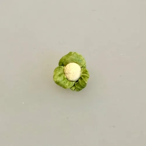 Miniature Blomkålshoved, blomkål, kål, kålhoved, blomkålshoved, grøntsager, køkkenhave, grønt, miniature, dukkehus, ting, tilbehør, nisser, sættekasse, symbolsk gave, gavekrot, færdiguddannet, gartner, grønne fingre, have, havearbejde, planteskole, biti, ribe, 1:12