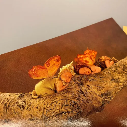 Postkort pakke - Anne Geddes Magic Forrest, anne geddes, babyboom, baby, shower, babyer, nyfødt, barselsgave, fødselsdag, sangskjuler, aktivitet, pynt, dåb, dåbsgave, barnedåb, sjov, til børn, fotos, fotografi, fotografering, magi, alfer, feer, postkort, ide, event, for børn, gode hilsner, biti, ribe