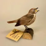 Naturens fugle af træ - Nattergal, nightinggale, nightingale, sangfugl, synger, h.c. andersen, eventyr, nattergalen, ornitolog, kigger på fugle, fugle, fugl, træfugl, figur, til pynt, i haven, ved foderbrættet, gaveide, natur, naturen, studentergave, fars dag, til manden, biti, ribe, kunsthåndværk, fugle i farver, naturtro