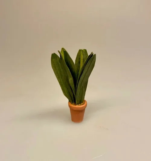 Miniature Bredbladet grøn plante, 7732, miniature, miniaturer, mini, drivhus, væksthus, have, havearbejde, haveliv, symbolsk, gave, gaveide, planteskole, dukkestue, dukkehus, ting til, tilbehør, nisser, nisse, nissedør, gartner, havemand, biti, ribe, 1:12