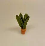 Miniature Bredbladet grøn plante, 7732, miniature, miniaturer, mini, drivhus, væksthus, have, havearbejde, haveliv, symbolsk, gave, gaveide, planteskole, dukkestue, dukkehus, ting til, tilbehør, nisser, nisse, nissedør, gartner, havemand, biti, ribe, 1:12