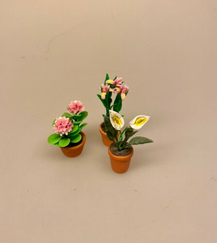 Miniature Potte med Fredslilje, 70291, hortensia, rosa, hvid, iris, blomst, urtepotte